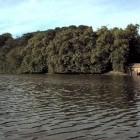 Knypersley Reservoir